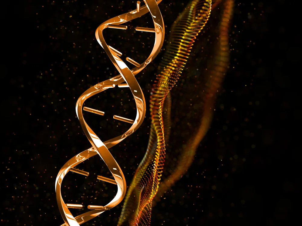 DNA double helix